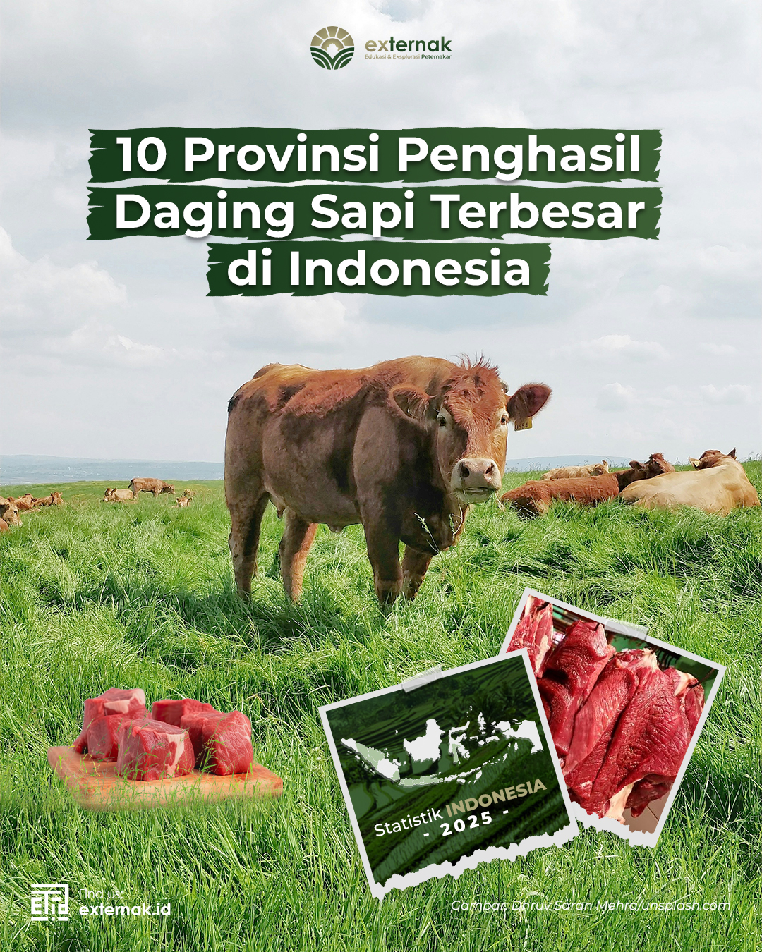10 Provinsi Penghasil Daging Sapi Terbesar di Indonesia